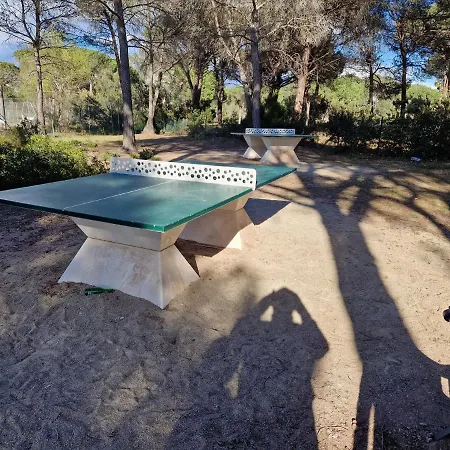 Grand T3 - Terrasse Les Pieds Dans L'eau - Climatisation Lägenhet